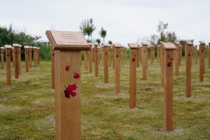 D-Day Tribute Campaign photo