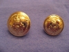 Buttons, regimental